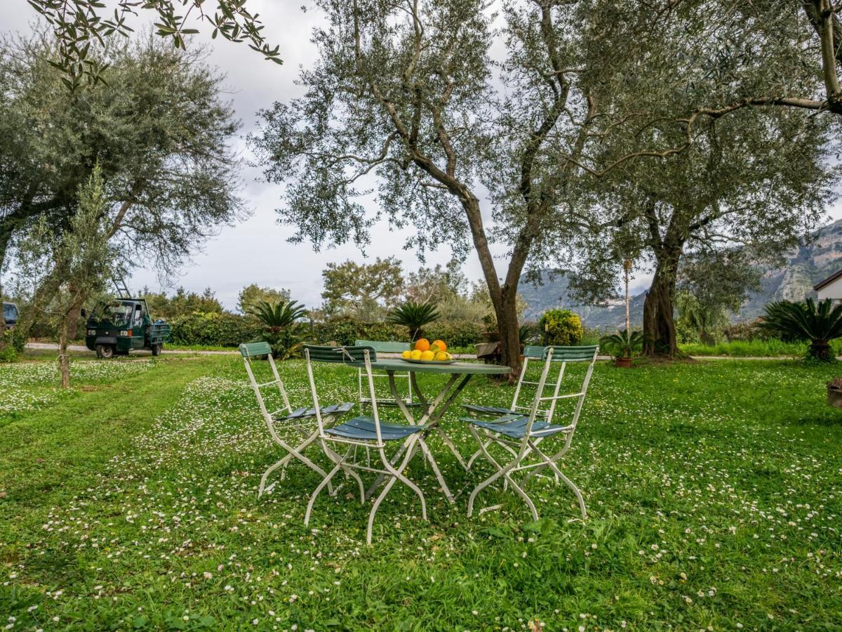Villino Sally Sorrento Coast Piano di Sorrento Exterior foto